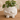 Cute Plant Holder