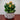 Modern Planter